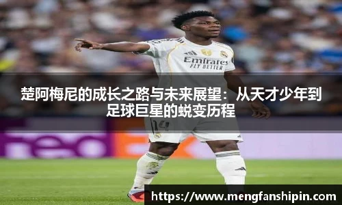 mk中国官网入口