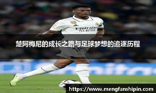 mk中国官网入口