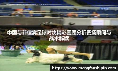 mksport体育