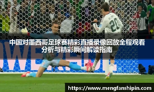 mksport体育在线